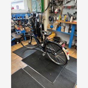 batavus