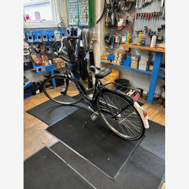 batavus