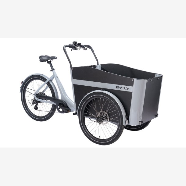 E-FLY Cargo RD