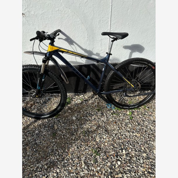 vitus mtb