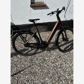 e-fly velo 100
